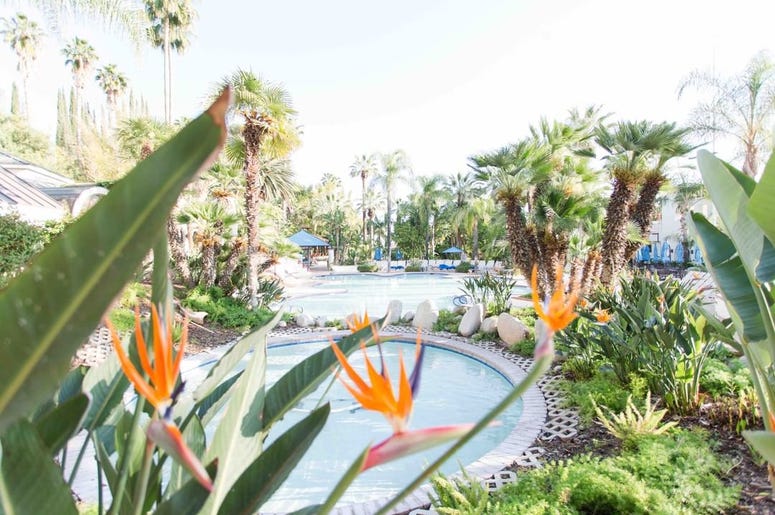 Glen Ivy Hot Springs in Corona