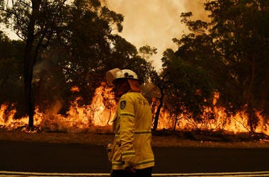 Firefighters Firefighters