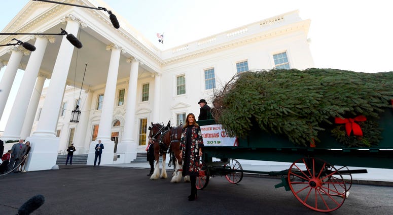 Trump tree