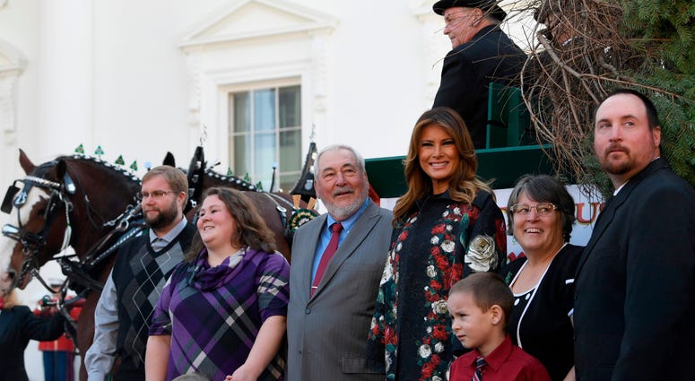 Trump tree