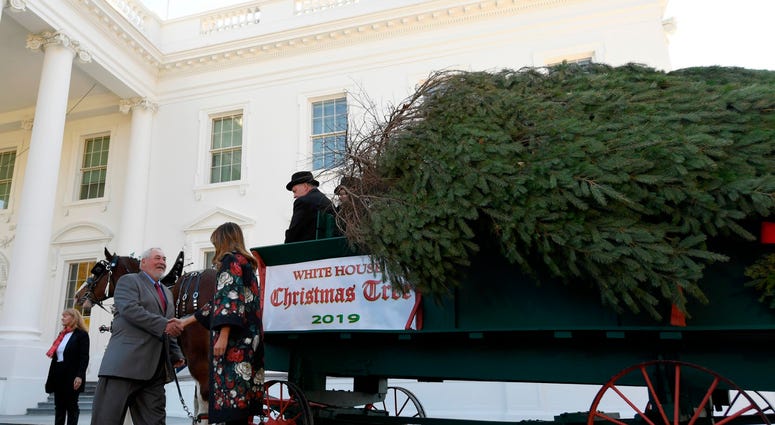 Trump tree