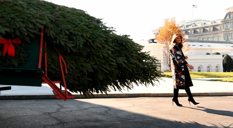 Trump tree
