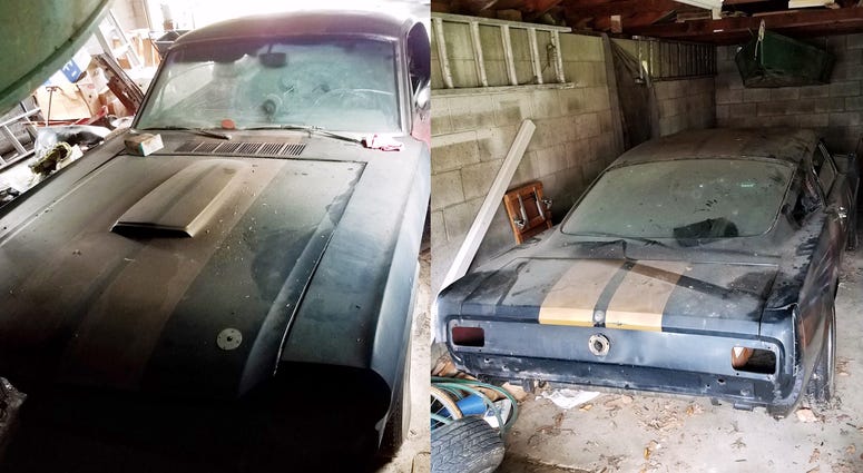 Shelby Mustang found in garage. Shelby Mustang found in garage.