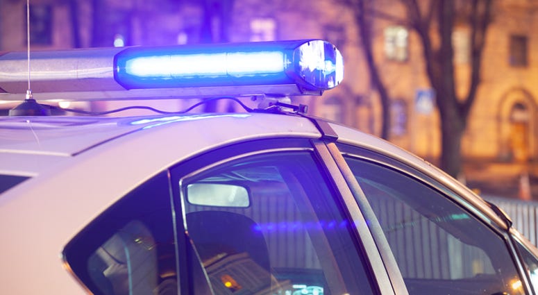 dgs police lights