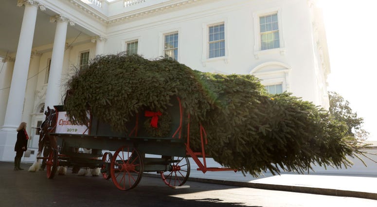 Trump tree