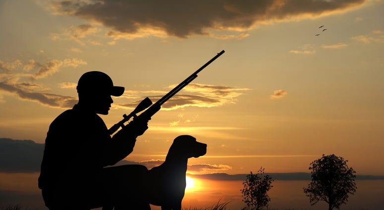 hunter with rifle and dog