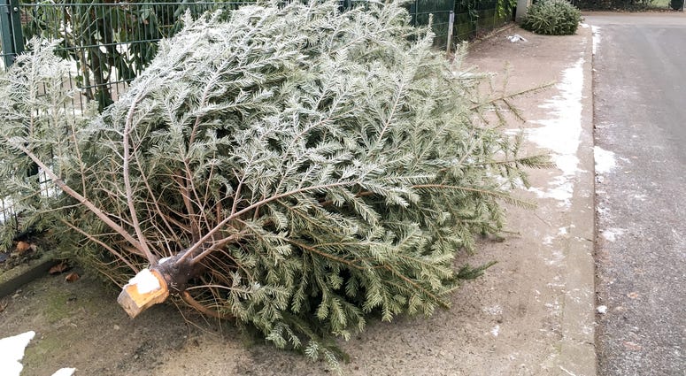 Christmas tree