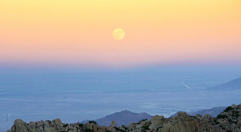 Harvest Moon