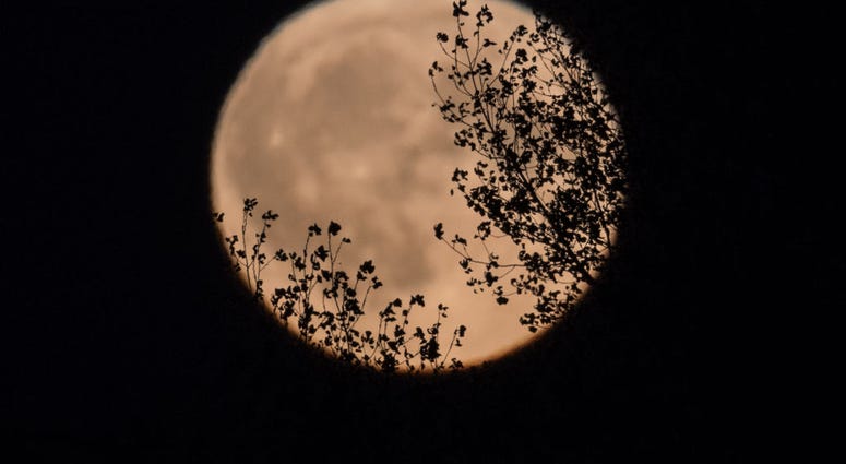 Harvest Moon in England