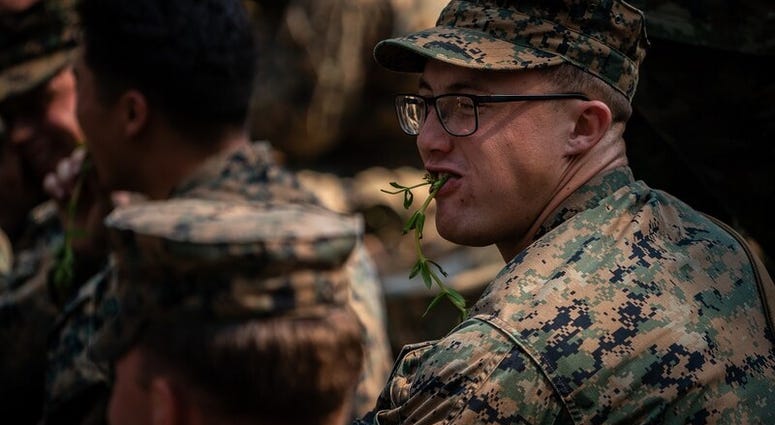 Cobra Gold 2020 military exercise