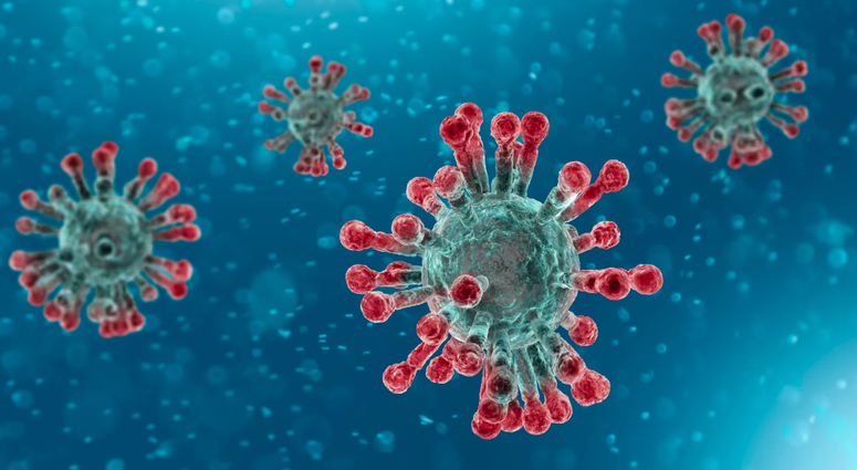 coronavirus