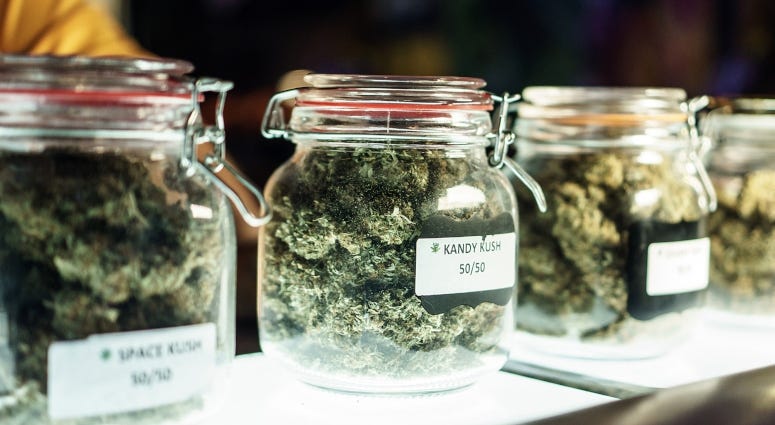marijuana in jars