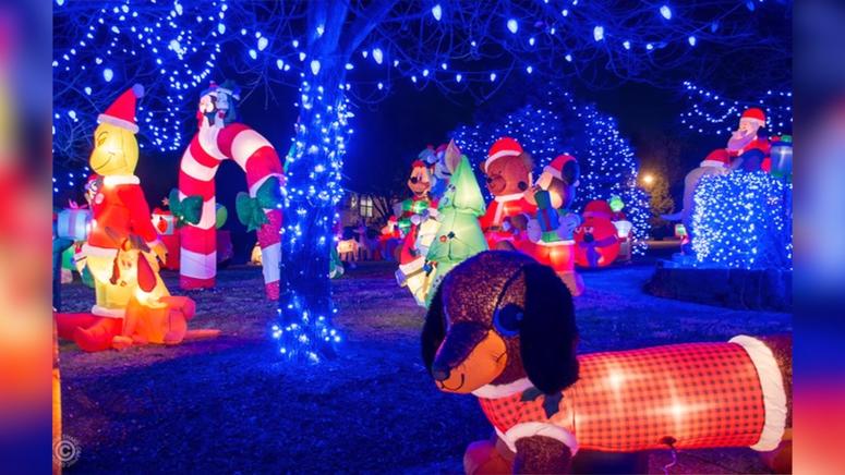 holiday lights