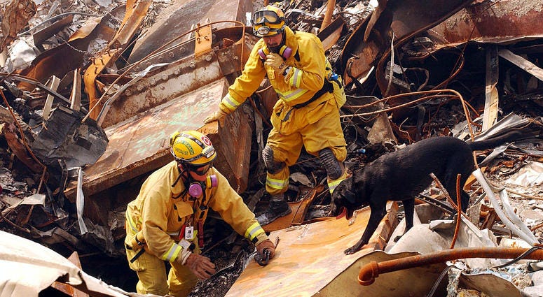 Mike Scott from the California Task Force-8 and his dog, Billy, search through rubble for victims of the September 11 terrorist attack at the World Trade Center September 21, 2001 New York City, NY.