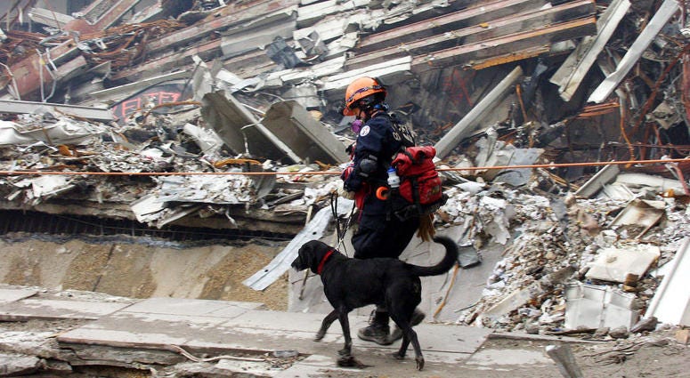 Colorado Task Force member Ann Wickman crosses the pile of rubble with her dog Jenner at Ground Zero September 25, 2001 in New York City