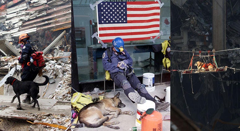 Hero dogs of 9/11