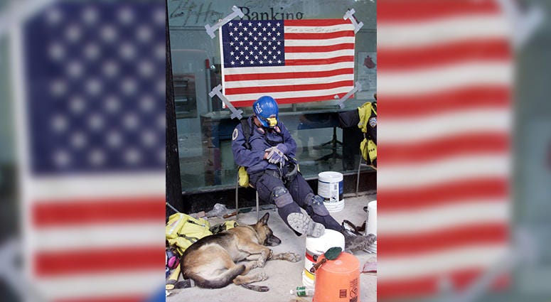 A canine officer and his dog rest September 18, 2001 after search duty at the site of last week's New York World Trade Center terrorist attack.