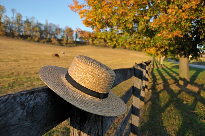 Amish hat