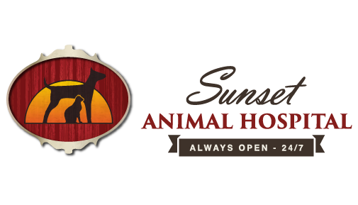 Sunset Animal Hospital Sunset Animal Hospital