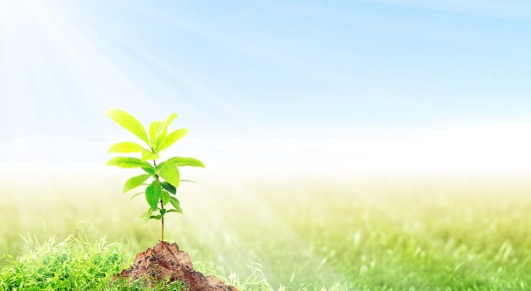 Earth Day April 22, 2020