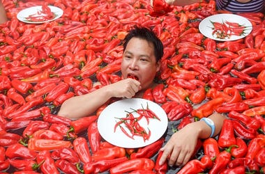 Chili Pepper Festival