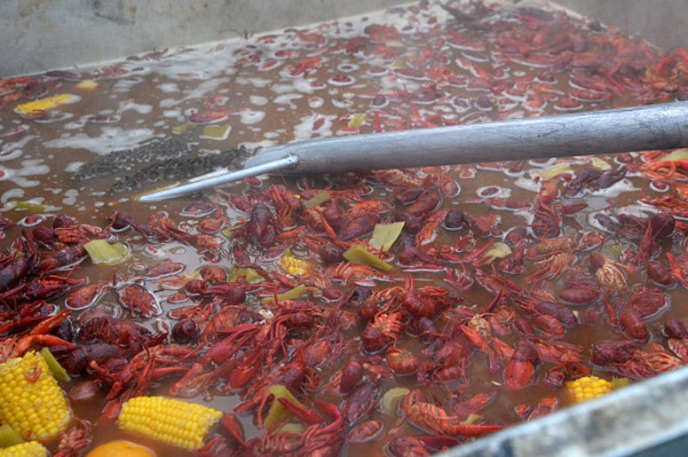 crawfish