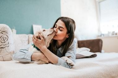 Pets