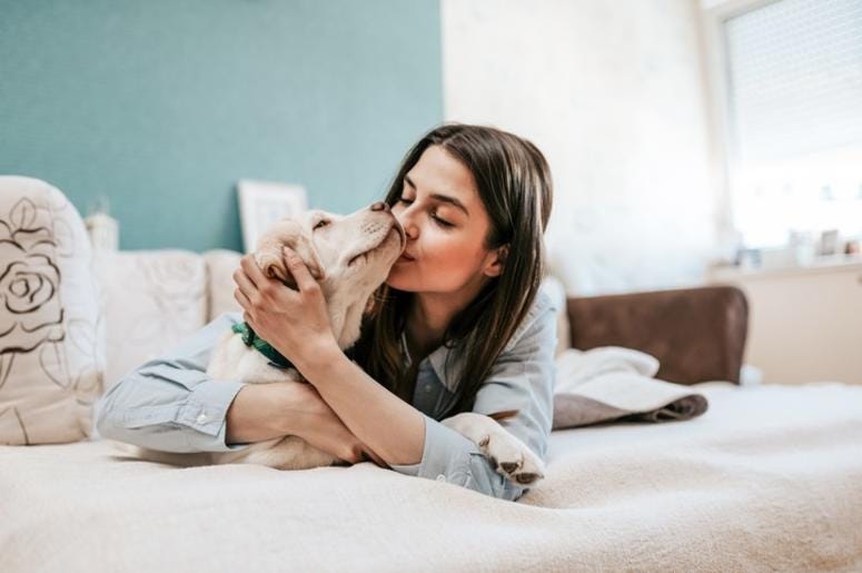 Pets
