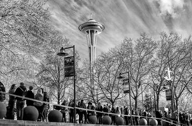 Mike Savoia Key Arena