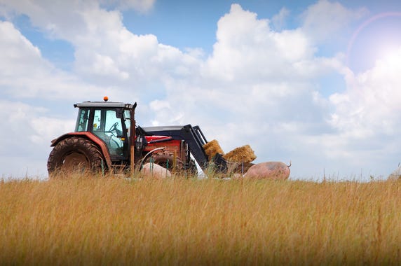 tractor, farm