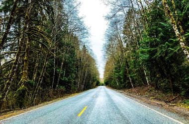 drive in the woods