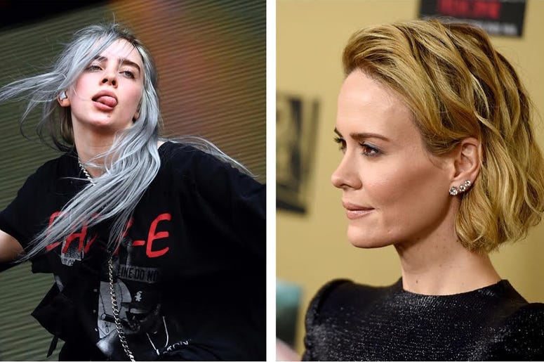 Billie Eilish And Sarah Paulson