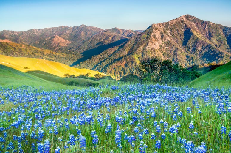 Western Rivers Conservancy Western Rivers Conservancy