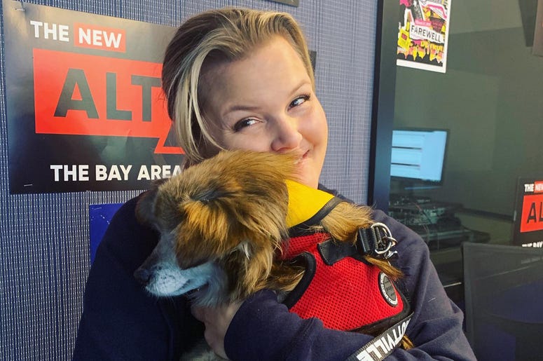 DK's Rescue Dog of The Week - 'Deacon' DK's Rescue Dog of The Week - 'Deacon'