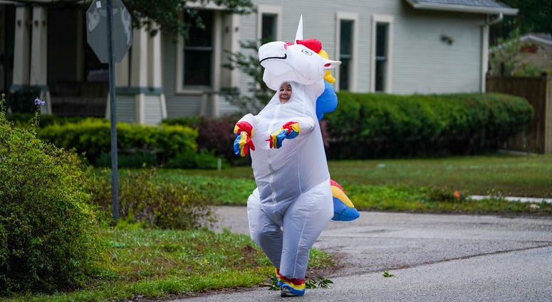 Florida unicorn