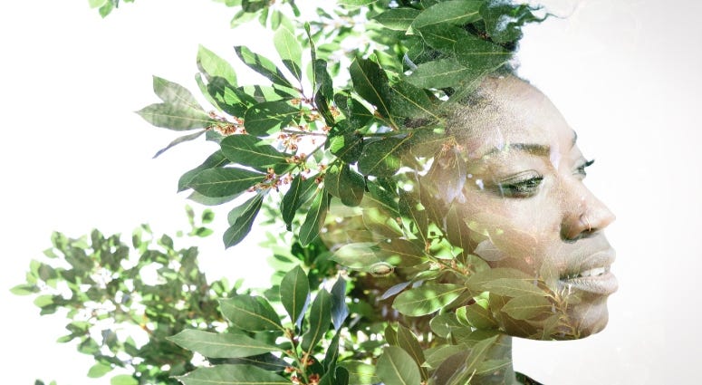 Eco-conscious Designs made to Unify.