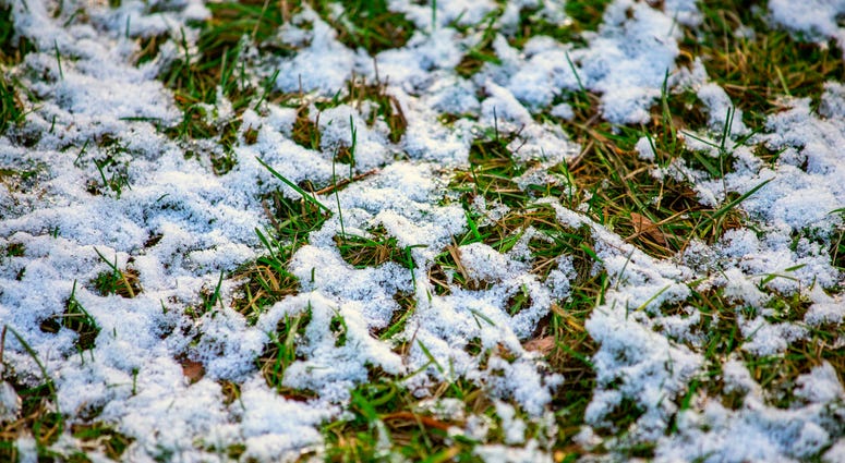 Light snow on grass