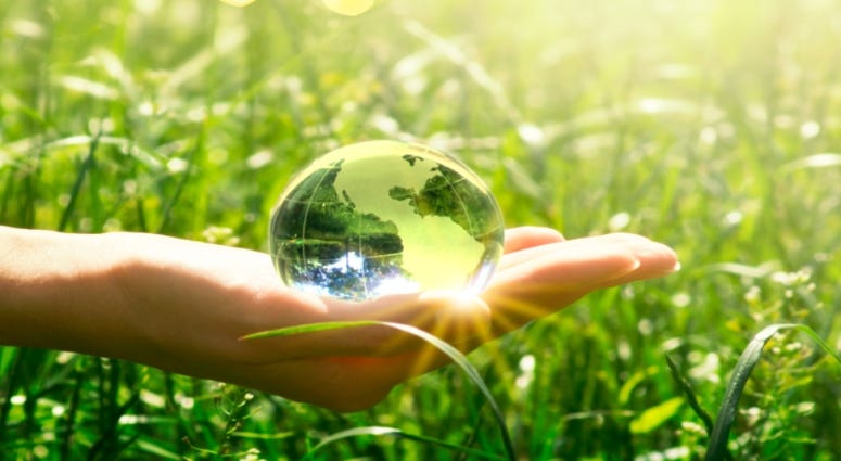 Hand Earth Green Yuliia Getty Images