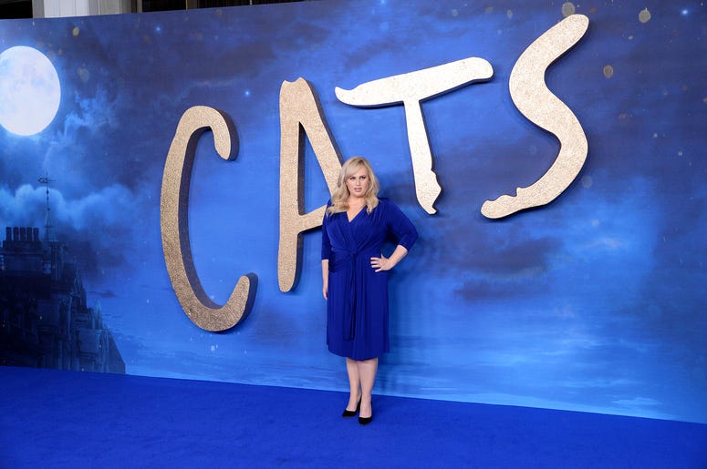 Cats Cats