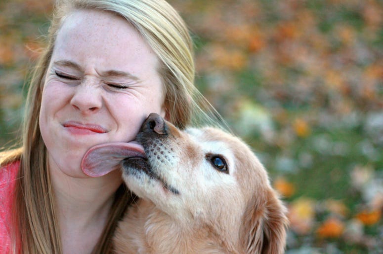 Dog_Licking Dog_Licking