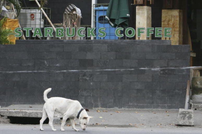 Dog_Starbucks Dog_Starbucks