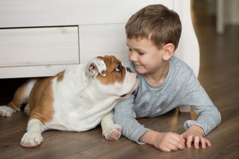 Dog_and_Child Dog_and_Child