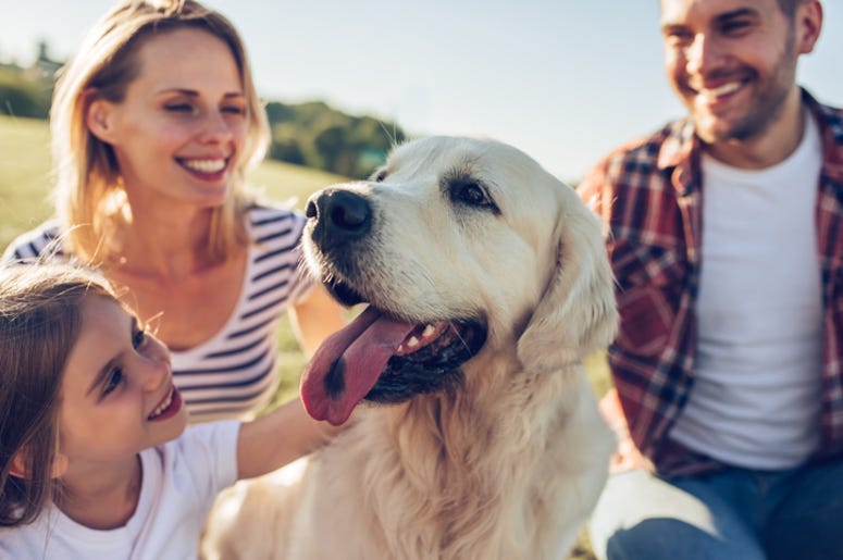 Family_Dog Family_Dog