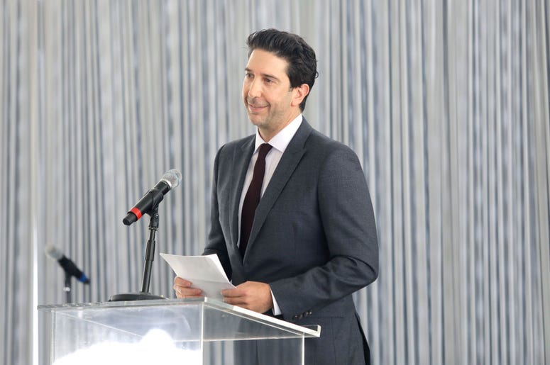 ross david schwimmer