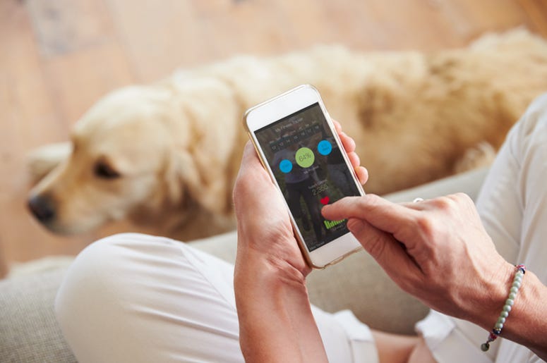 Guy using an app