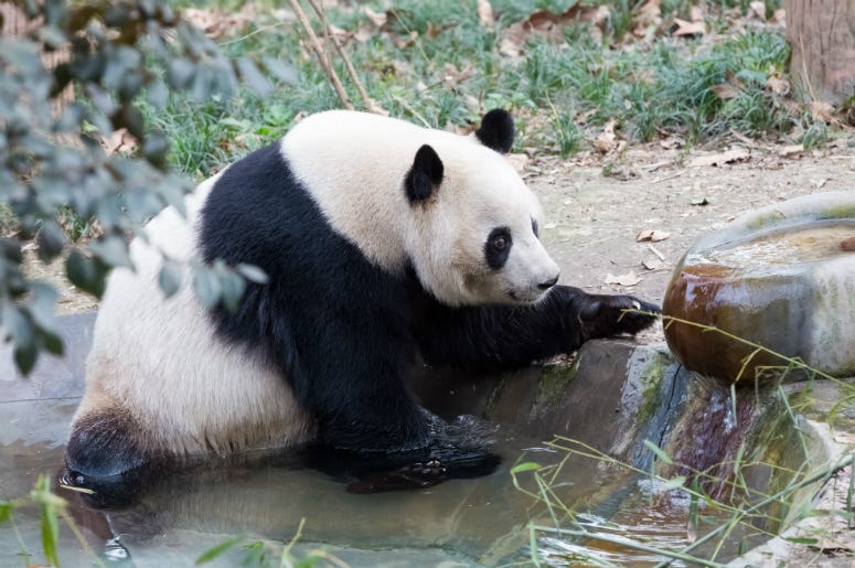 Photo Credit: Dreamstime Photo Credit: Dreamstime