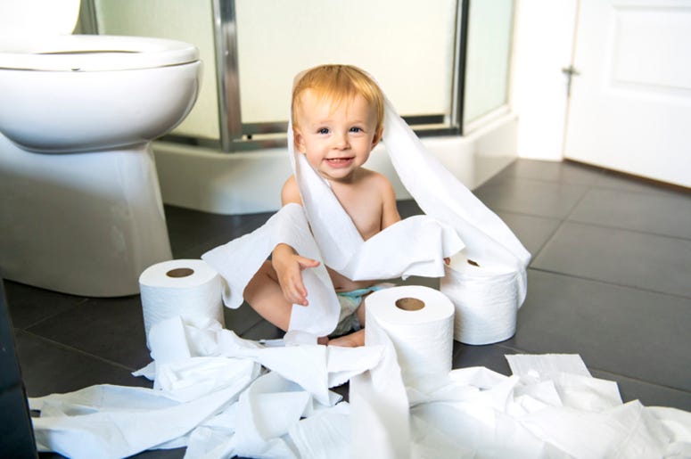 Toilet_Paper Toilet_Paper