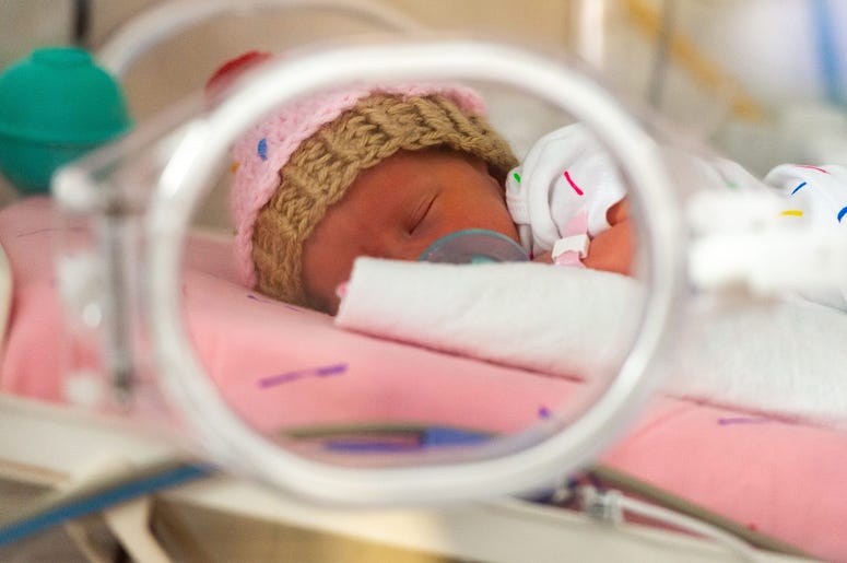 nicu nicu