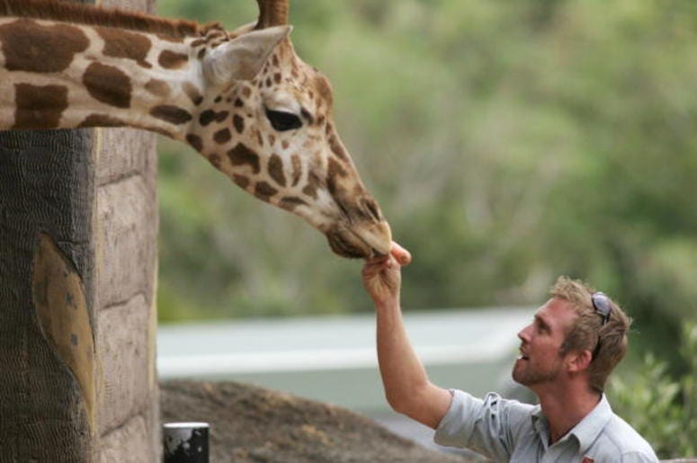 Zookeeper Zookeeper