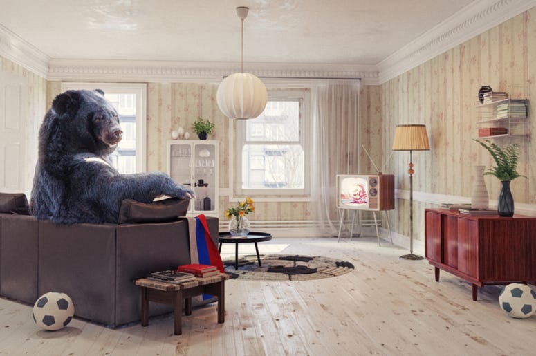 Bear sitting on sofa Bear sitting on sofa